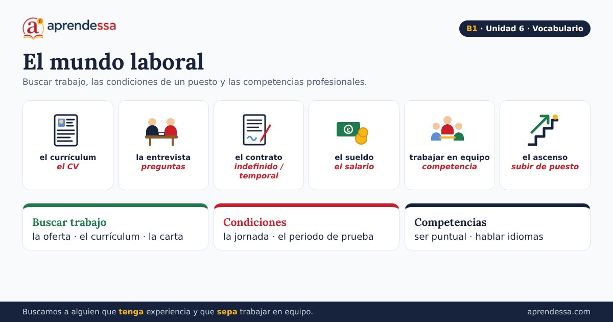 El mundo laboral en español, unidad 6 de B1: aprender las oraciones de relativo y buscar empleo en español