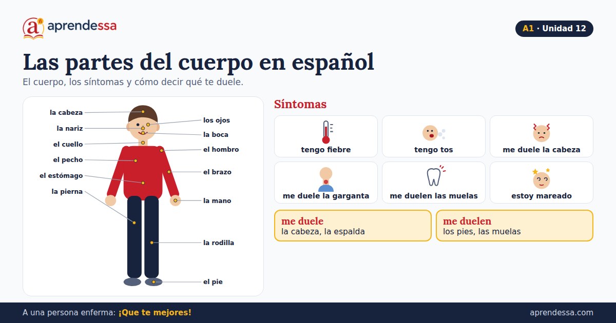 El cuerpo y la salud en español: Las partes del cuerpo, unidad 12 de A1